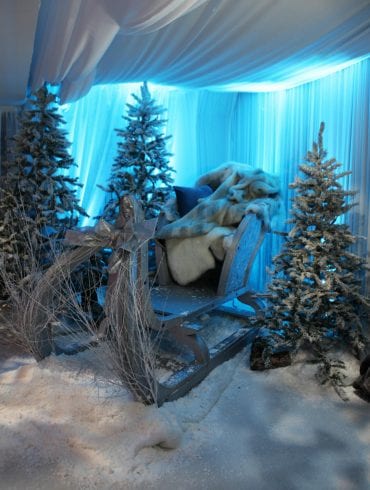 Winter wonderland sleigh surrounded by Christmas trees