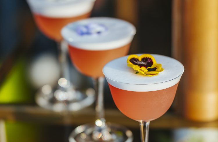 three glasses of Bellini cocktails